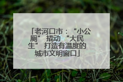 老河口市：“小公厕” 撬动 “大民生” 打造有温度的城市文明窗口