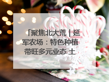 聚焦北大荒｜延军农场：特色种植带旺多元业态 土地焕发新活力