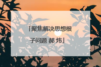 聚焦解决思想根子问题 郝 炜