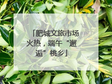肥城文旅市场火热，端午“邂逅”桃乡