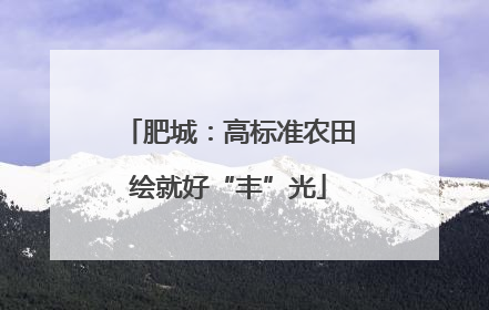 肥城：高标准农田绘就好“丰”光