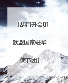 胡昌升会见欧盟国家驻华使节团