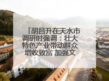 胡昌升在天水市调研时强调：壮大特色产业带动群众增收致富 加强文物保护推动文化创新发展