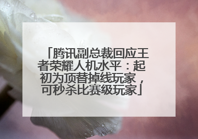 腾讯副总裁回应王者荣耀人机水平：起初为顶替掉线玩家，可秒杀比赛级玩家