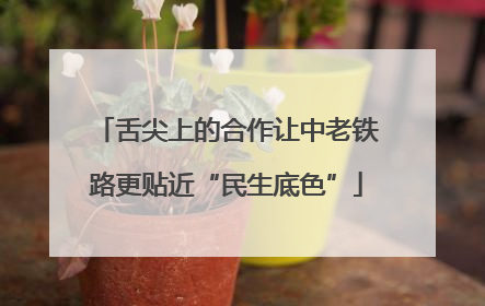 舌尖上的合作让中老铁路更贴近“民生底色”
