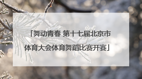 舞动青春 第十七届北京市体育大会体育舞蹈比赛开赛