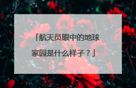 航天员眼中的地球家园是什么样子？