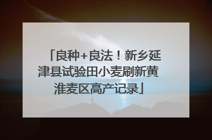 良种+良法！新乡延津县试验田小麦刷新黄淮麦区高产记录