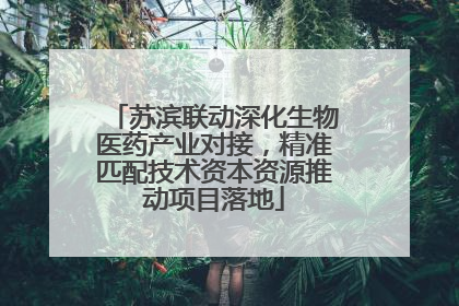 苏滨联动深化生物医药产业对接，精准匹配技术资本资源推动项目落地