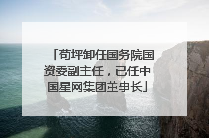苟坪卸任国务院国资委副主任，已任中国星网集团董事长