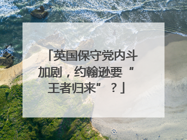 英国保守党内斗加剧，约翰逊要“王者归来”？