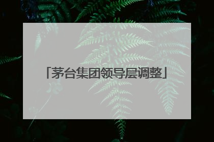 茅台集团领导层调整