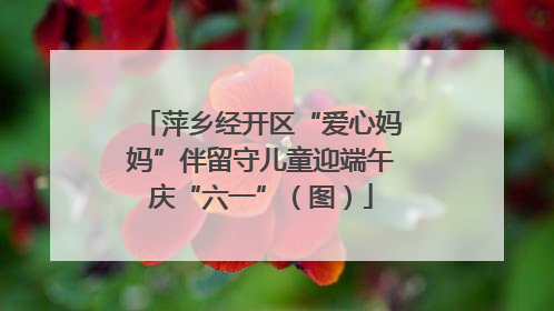 萍乡经开区“爱心妈妈”伴留守儿童迎端午庆“六一”（图）