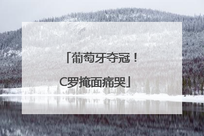葡萄牙夺冠！C罗掩面痛哭