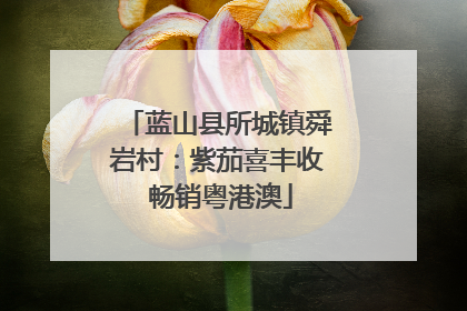蓝山县所城镇舜岩村：紫茄喜丰收 畅销粤港澳