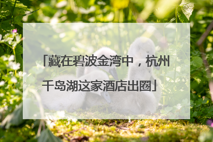 藏在碧波金湾中，杭州千岛湖这家酒店出圈