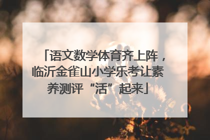 语文数学体育齐上阵，临沂金雀山小学乐考让素养测评“活”起来