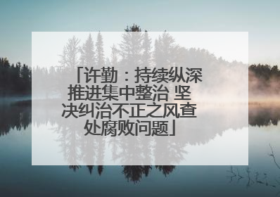 许勤：持续纵深推进集中整治 坚决纠治不正之风查处腐败问题