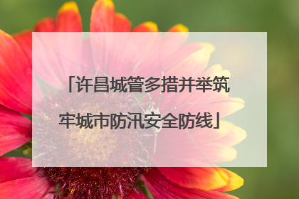 许昌城管多措并举筑牢城市防汛安全防线
