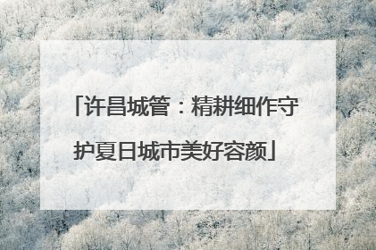 许昌城管：精耕细作守护夏日城市美好容颜
