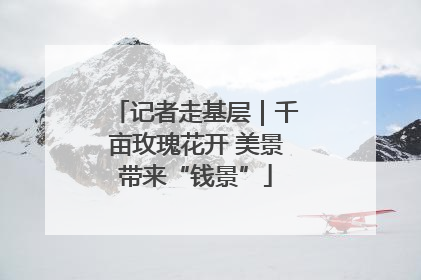记者走基层｜千亩玫瑰花开 美景带来“钱景”
