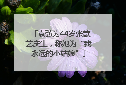 袁弘为44岁张歆艺庆生，称她为“我永远的小姑娘”