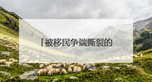 被移民争端撕裂的美国：特朗普绕开州长调兵，加州与联邦政府正面对抗
