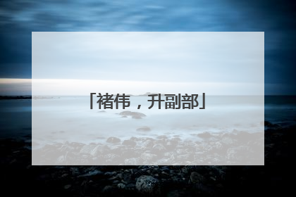 褚伟，升副部