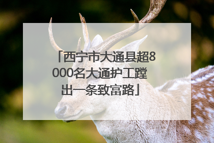 西宁市大通县超8000名大通护工蹚出一条致富路