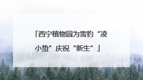 西宁植物园为雪豹“凌小蛰”庆祝“新生”