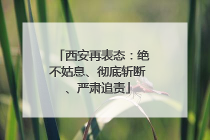 西安再表态：绝不姑息、彻底斩断、严肃追责