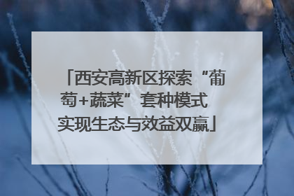 西安高新区探索“葡萄+蔬菜”套种模式 实现生态与效益双赢