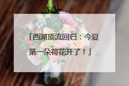 西湖顶流回归：今夏第一朵荷花开了！