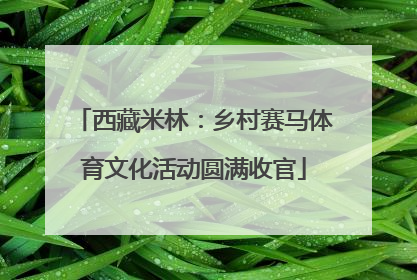 西藏米林：乡村赛马体育文化活动圆满收官