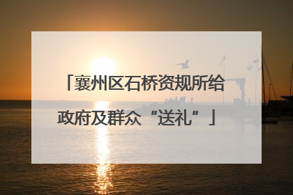 襄州区石桥资规所给政府及群众“送礼”