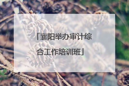 襄阳举办审计综合工作培训班