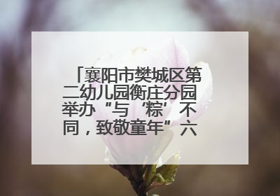襄阳市樊城区第二幼儿园衡庄分园举办“与‘粽’不同，致敬童年”六一文艺汇演