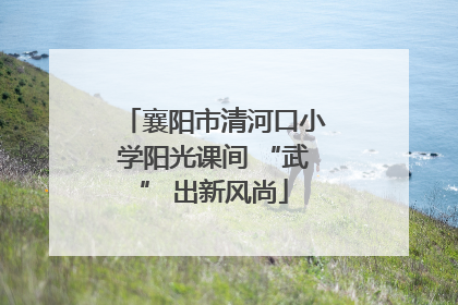 襄阳市清河口小学阳光课间 “武” 出新风尚