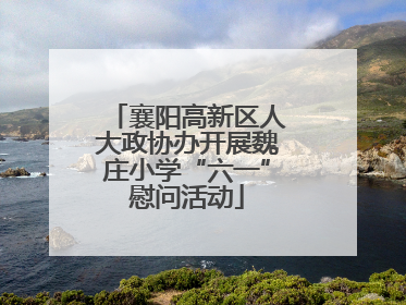 襄阳高新区人大政协办开展魏庄小学“六一”慰问活动