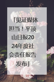 见证媒体担当！平顶山日报2024年度社会责任报告发布
