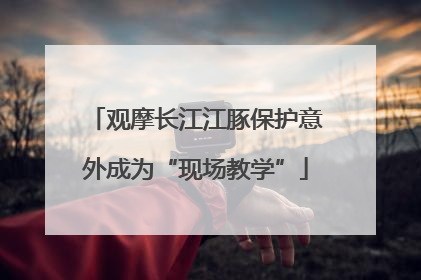 观摩长江江豚保护意外成为“现场教学”