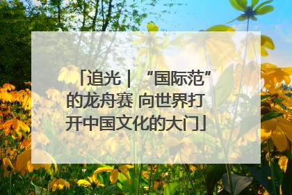 追光｜“国际范”的龙舟赛 向世界打开中国文化的大门