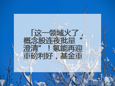 这一领域火了，概念股连夜批量“澄清”！氢能再迎重磅利好，基金重仓股出炉