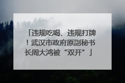 违规吃喝、违规打牌！武汉市政府原副秘书长周大鸿被“双开”