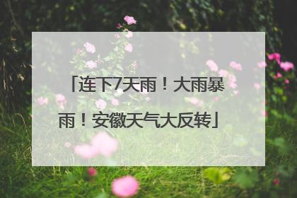 连下7天雨！大雨暴雨！安徽天气大反转