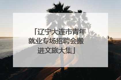 辽宁大连市青年就业专场招聘会搬进文旅大集