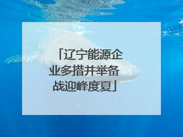 辽宁能源企业多措并举备战迎峰度夏