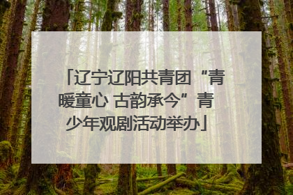 辽宁辽阳共青团“青暖童心 古韵承今”青少年观剧活动举办