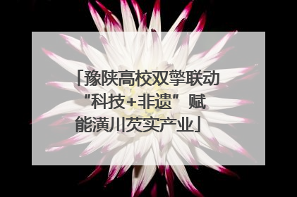 豫陕高校双擎联动 “科技+非遗”赋能潢川芡实产业