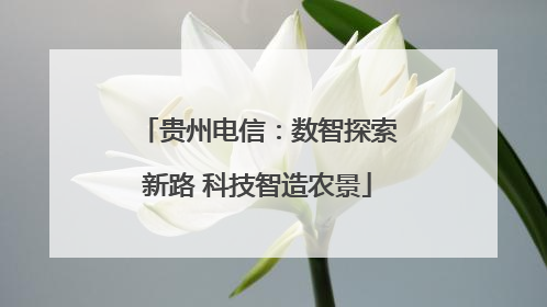 贵州电信：数智探索新路 科技智造农景